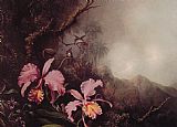 Martin Johnson Heade Two Orchids in a Mountain Landscape painting